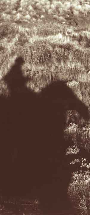 silhouette with horse